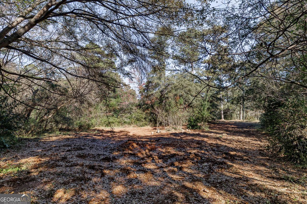 51 Thrasher Drive - Photo 1