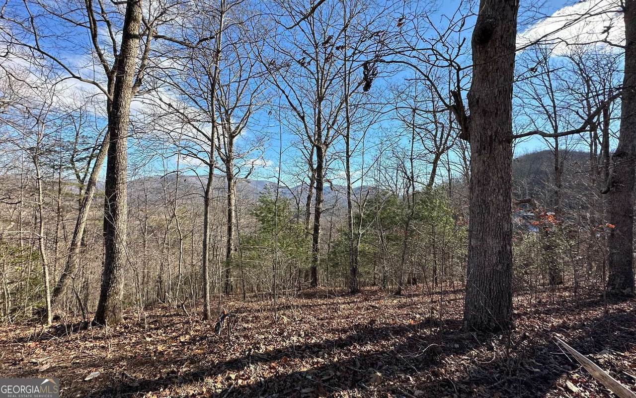 0 Clark Drive - Photo 1