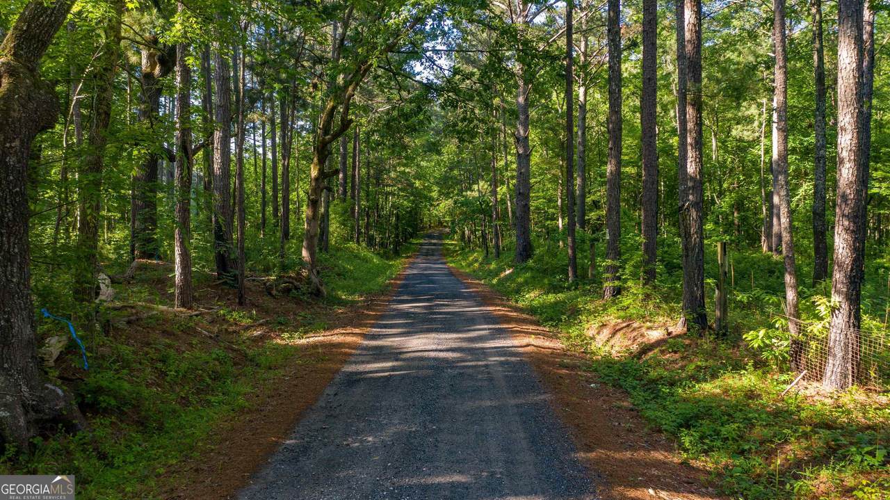 0 Padgett Road - Photo 1