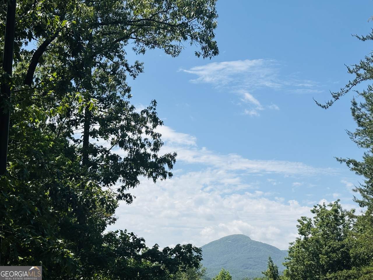 0 Rosen Strasse - Lot 141 - Photo 1