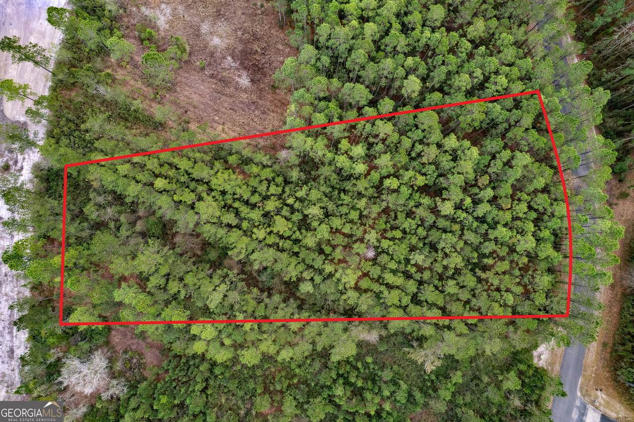 LOT 94 Waverly West Lane - Photo 1