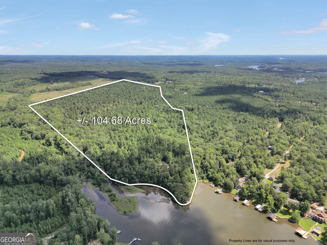 0 Scuffleboro Road - Photo 1