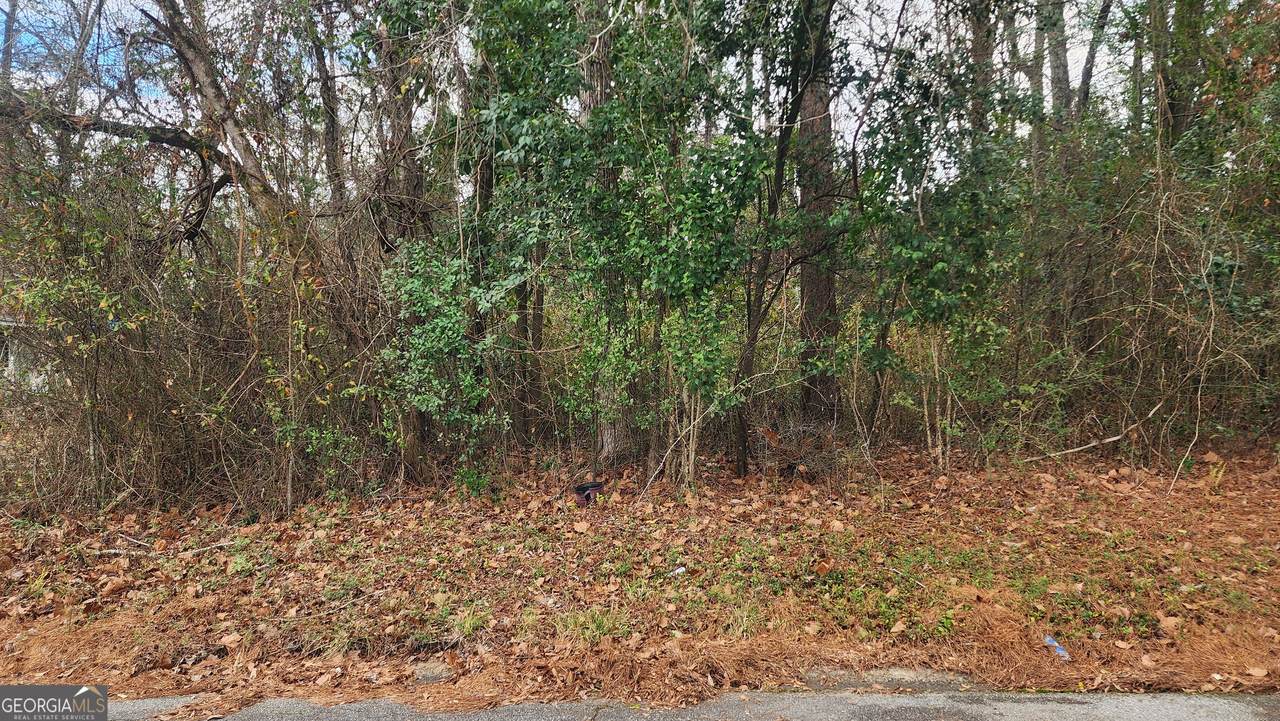 0 Champion Drive - Photo 1