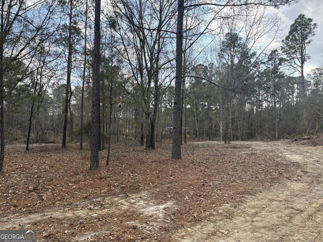 0 Ga Hwy 338 (Taylor Grocery Rd) - Photo 1