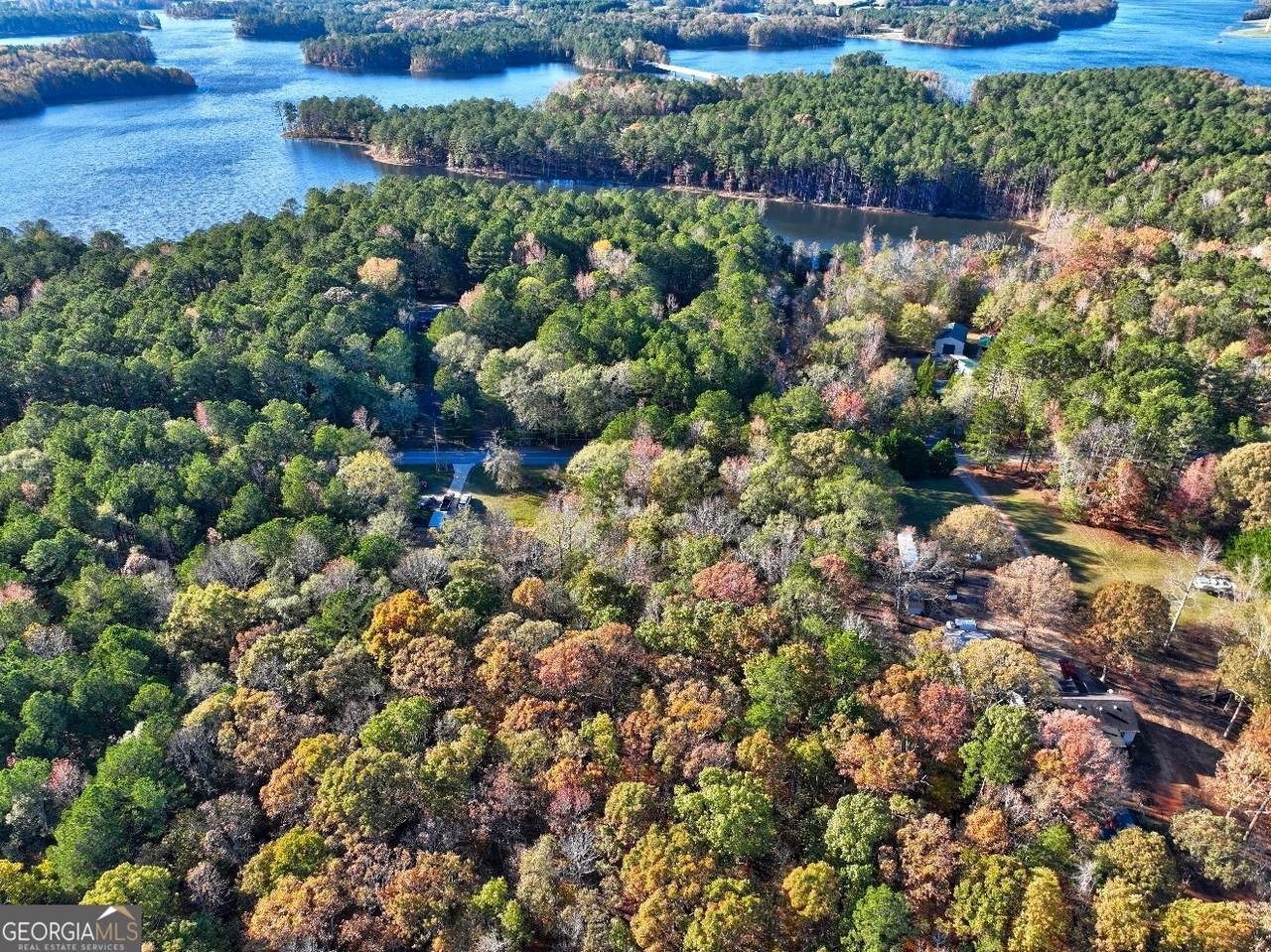 0 Browning Shoals Road - Photo 1