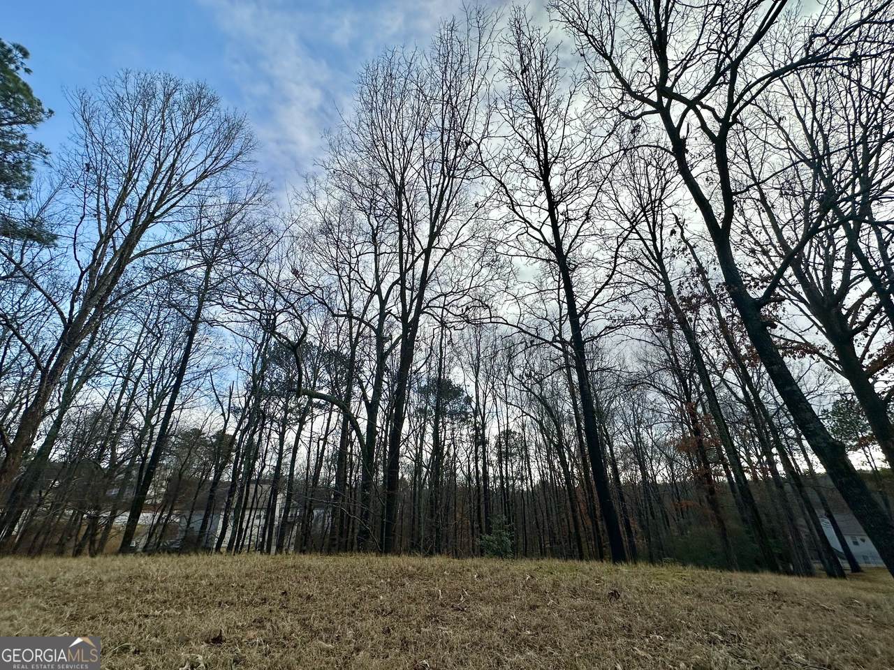 3222 Haleys Way - Photo 1