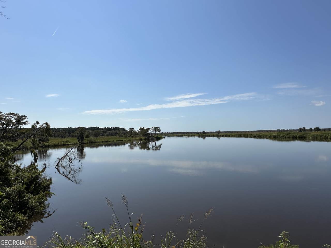 1231 River Drive - Photo 1