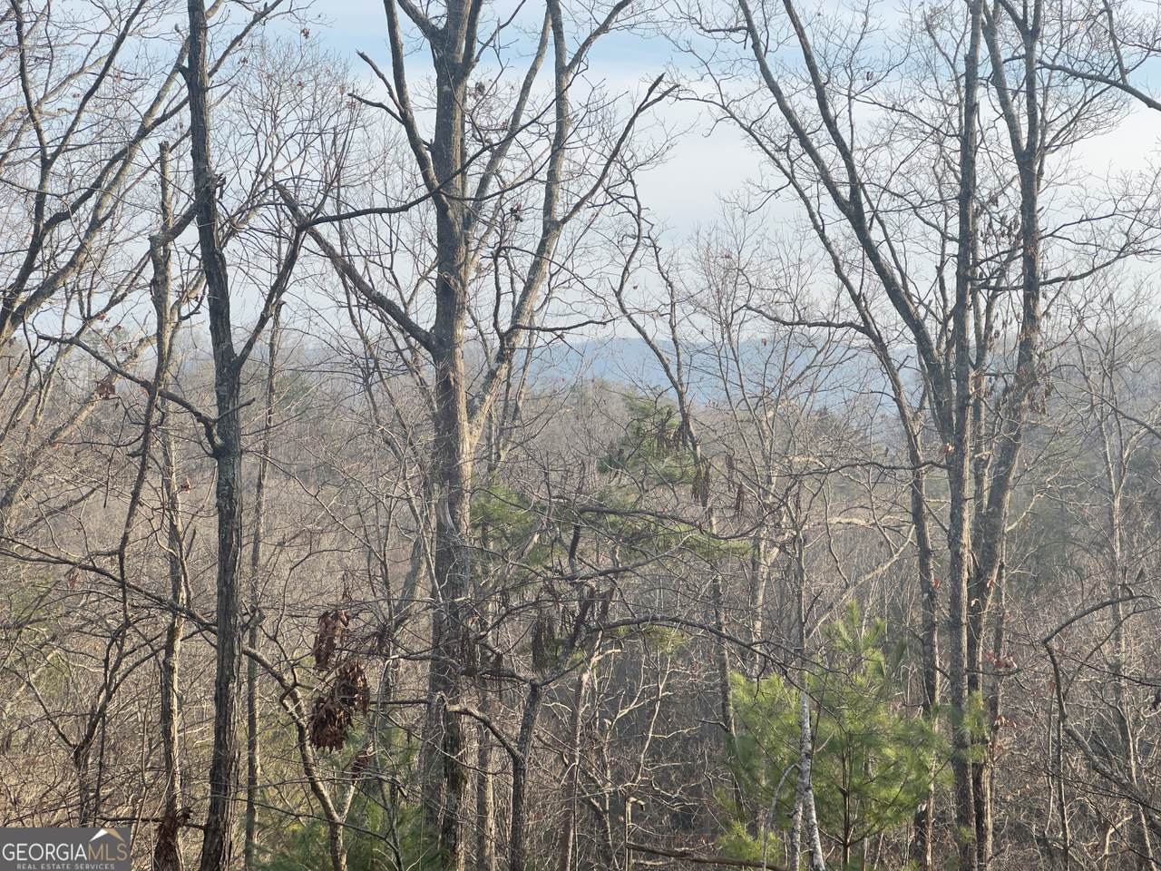 TRACT 1 Century Lane - Photo 1