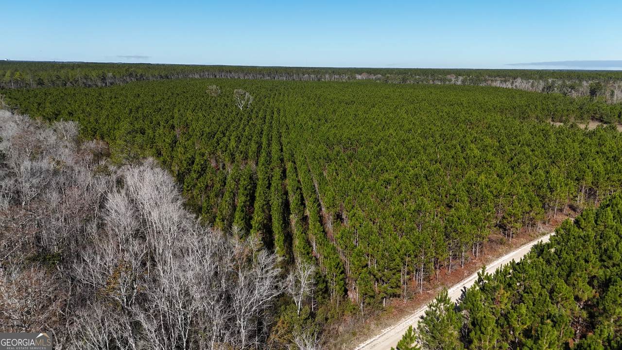 29 AC Owens Road - Photo 1