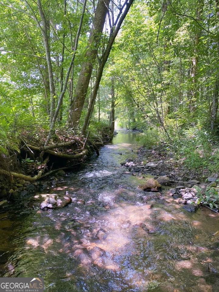 0 Highway 19 - Photo 1