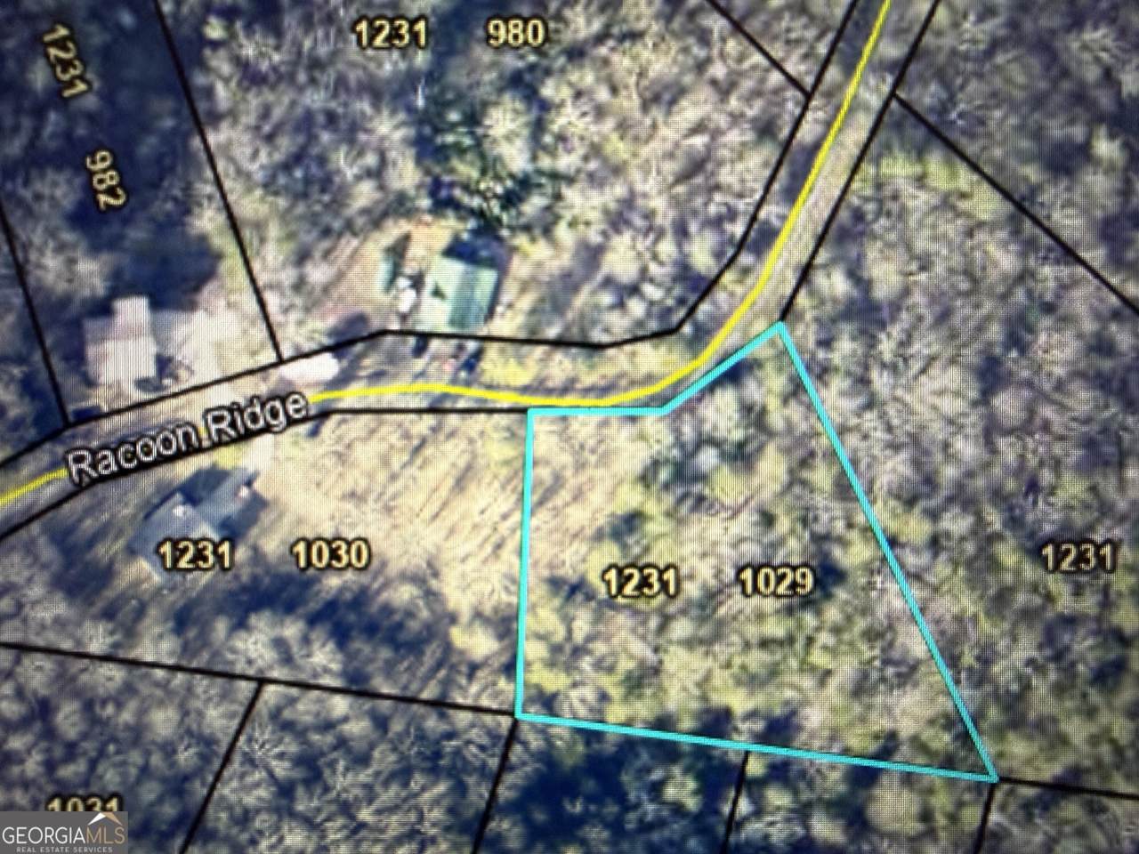 1029 Raccoon Ridge Road - Photo 1