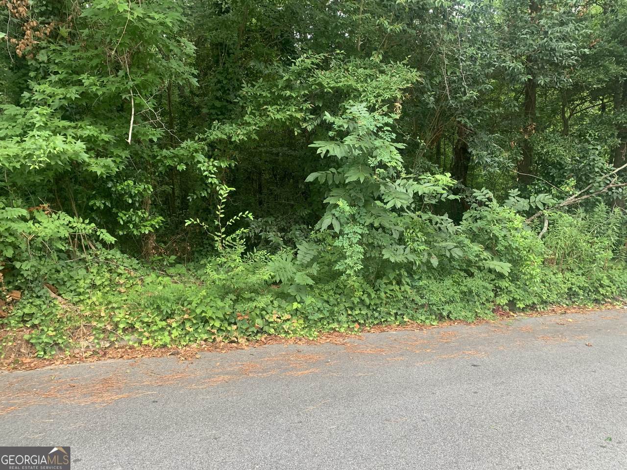 1171 Washington Street - Photo 1