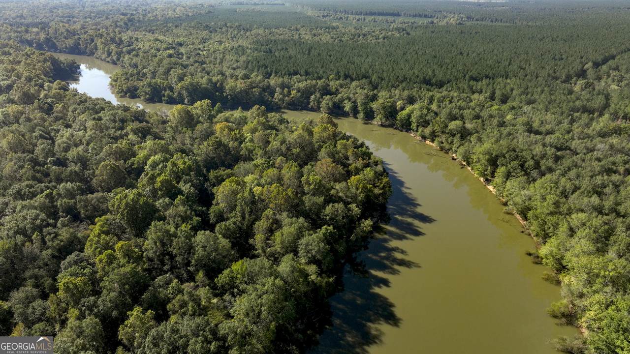 0 Abbeville Highway - Photo 1