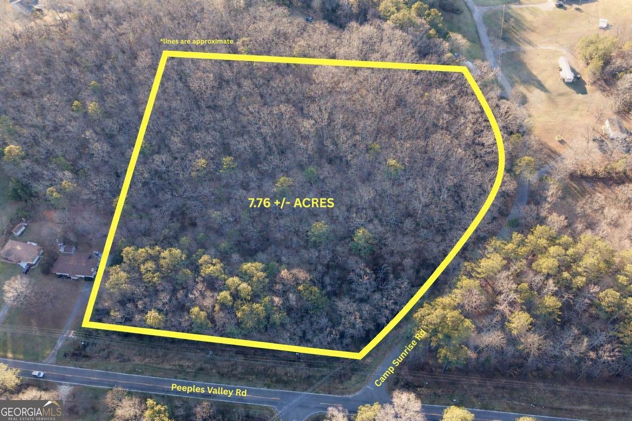 0 Peeples Valley Road - Photo 1