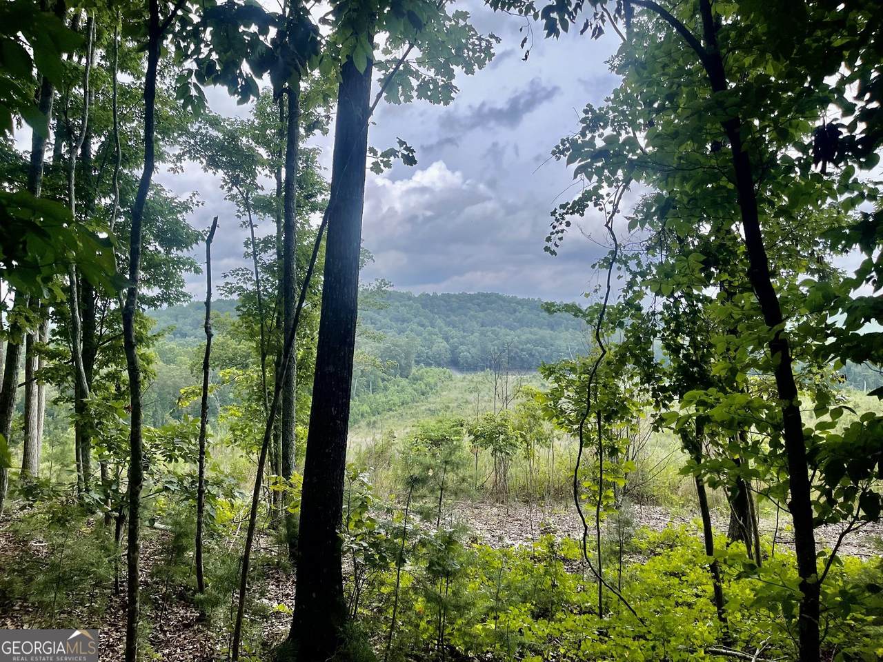 0 White Oak Road - Photo 1