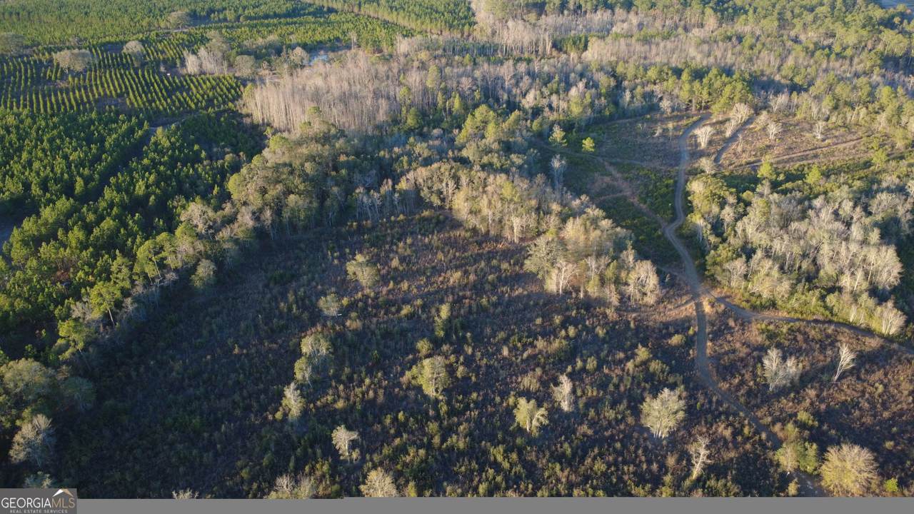 3376 Pine Cone Trail - Photo 1