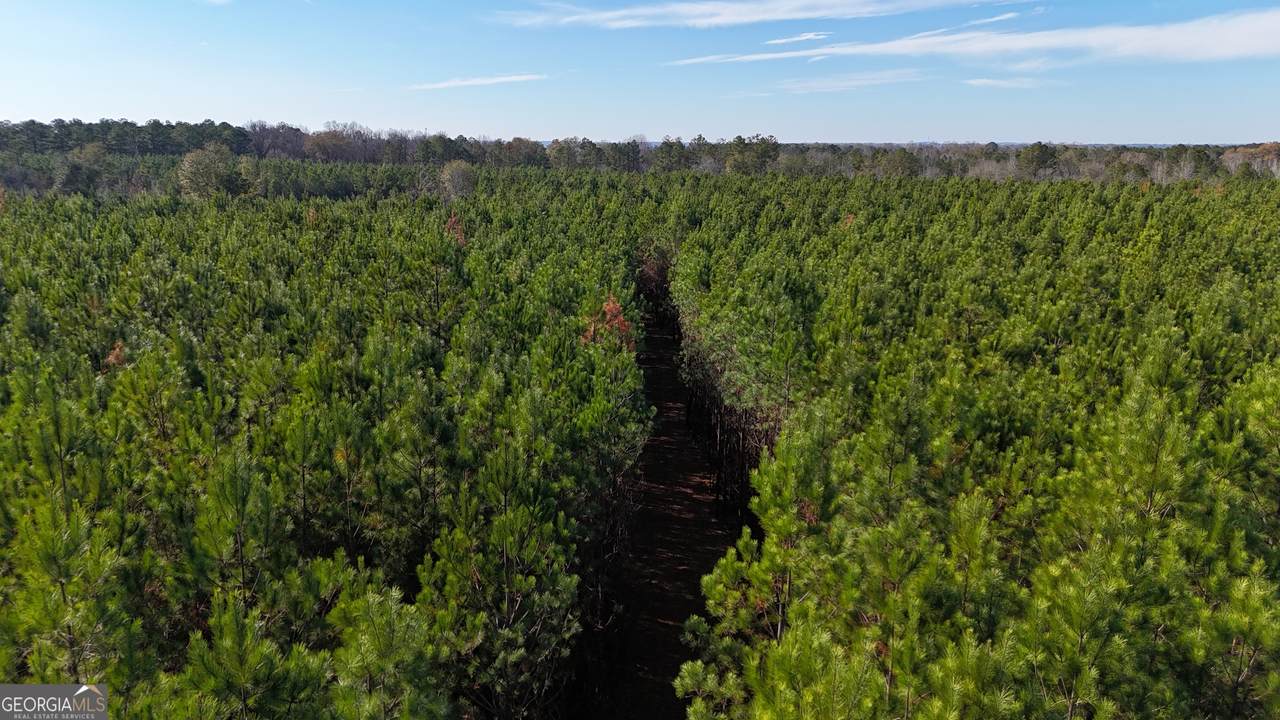 04 Cleghorn Drive - Photo 1