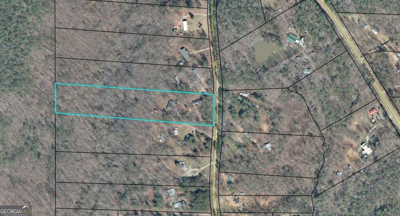 191 Big Buck Trail - Photo 1