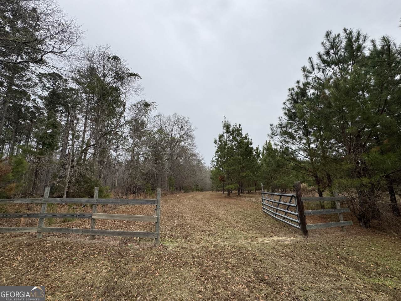 3794 Millen Highway - Photo 1