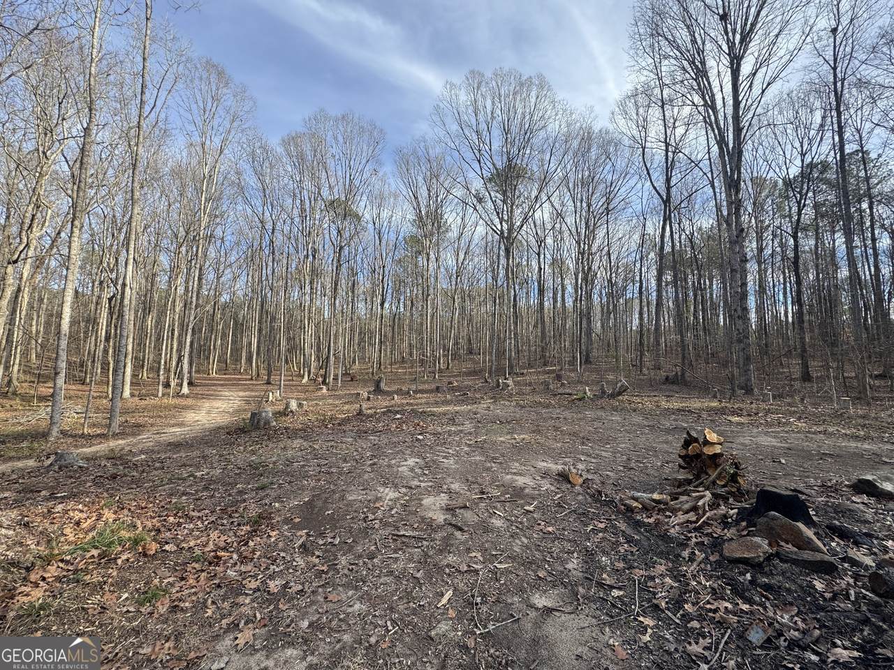 0 Alder Road - Photo 1