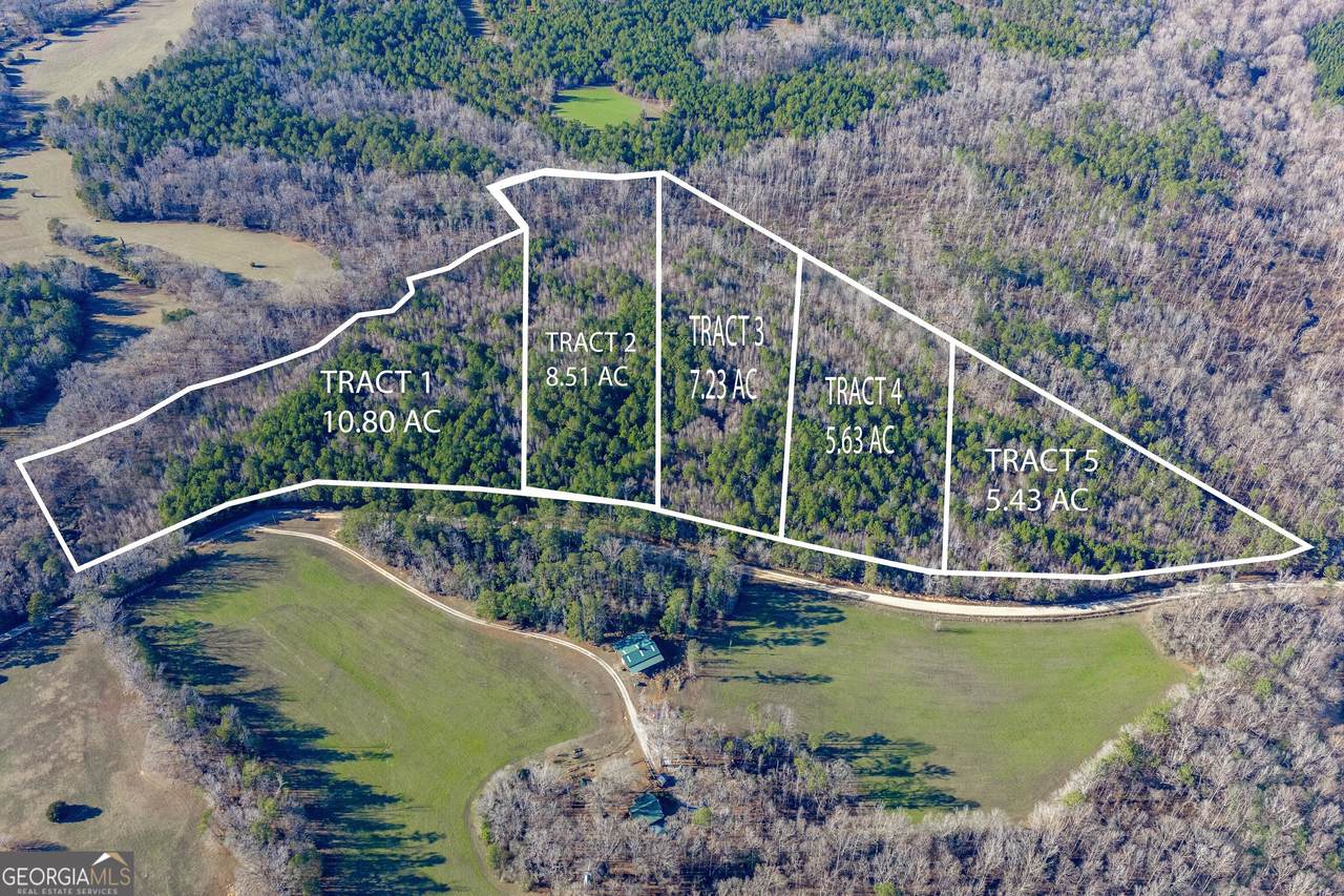 TRACT 5 Dunbar School Road - Photo 1