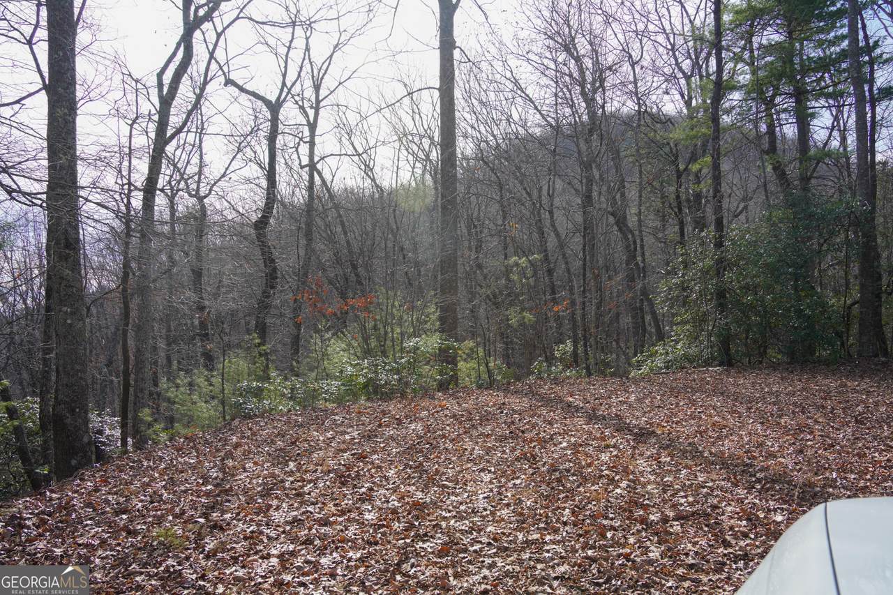 0 High Holly - Photo 1