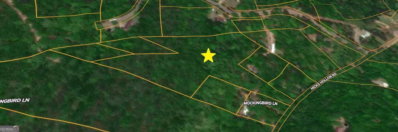 0 Hicks Hollow Road - Photo 1