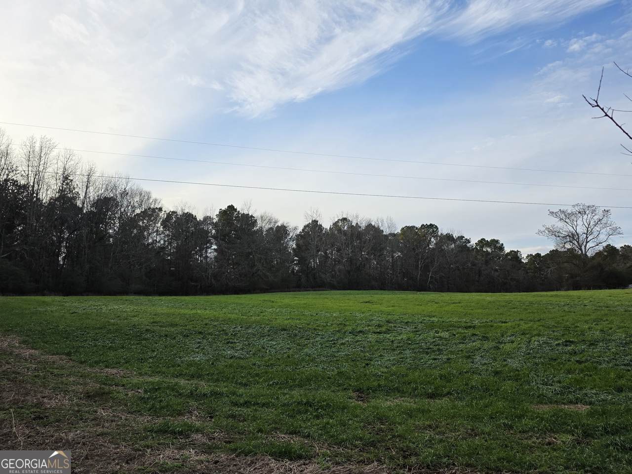 7.63 ACRES Mcmichael Road - Photo 1