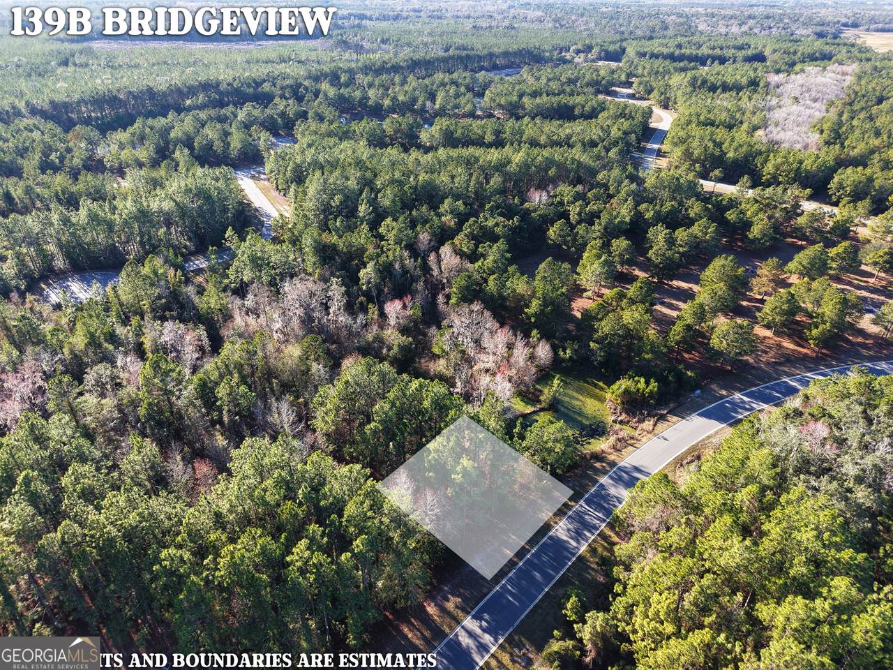 LOT 388 Bridge View Lane - Photo 1