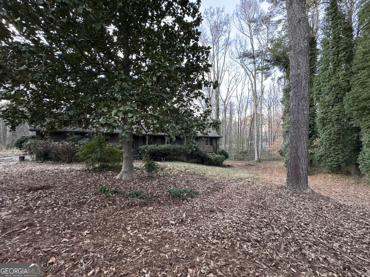 3955 Demooney Road - Photo 1