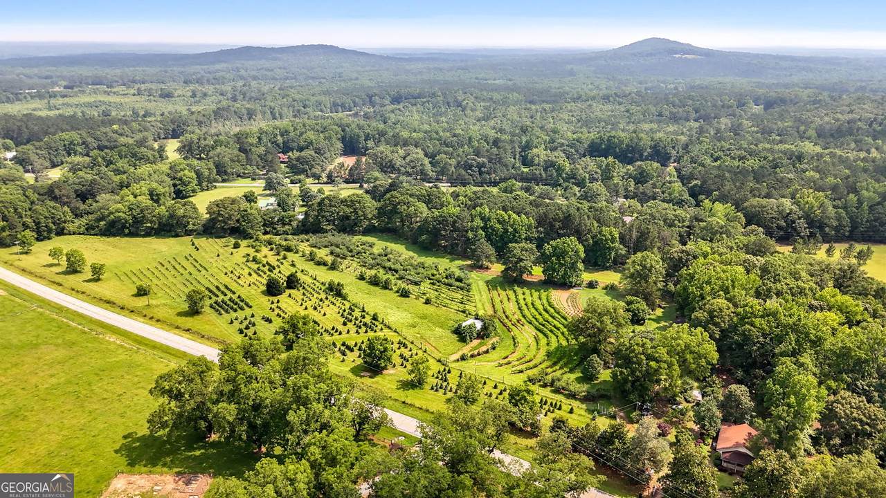 2037 Jeff Davis Road - Photo 1