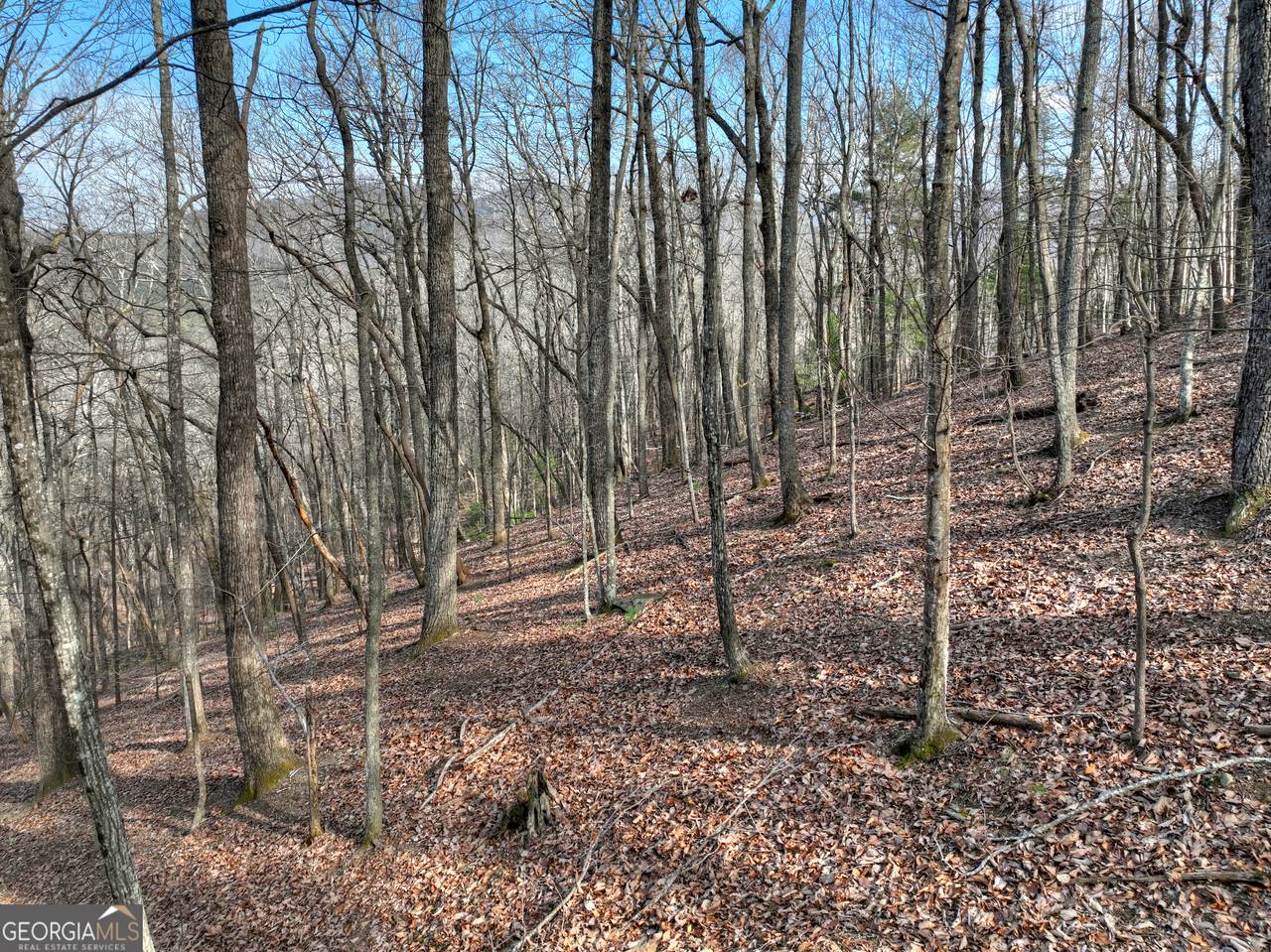 https://bt-photos.global.ssl.fastly.net/gamls/1280_boomver_1_10683226-2.jpg