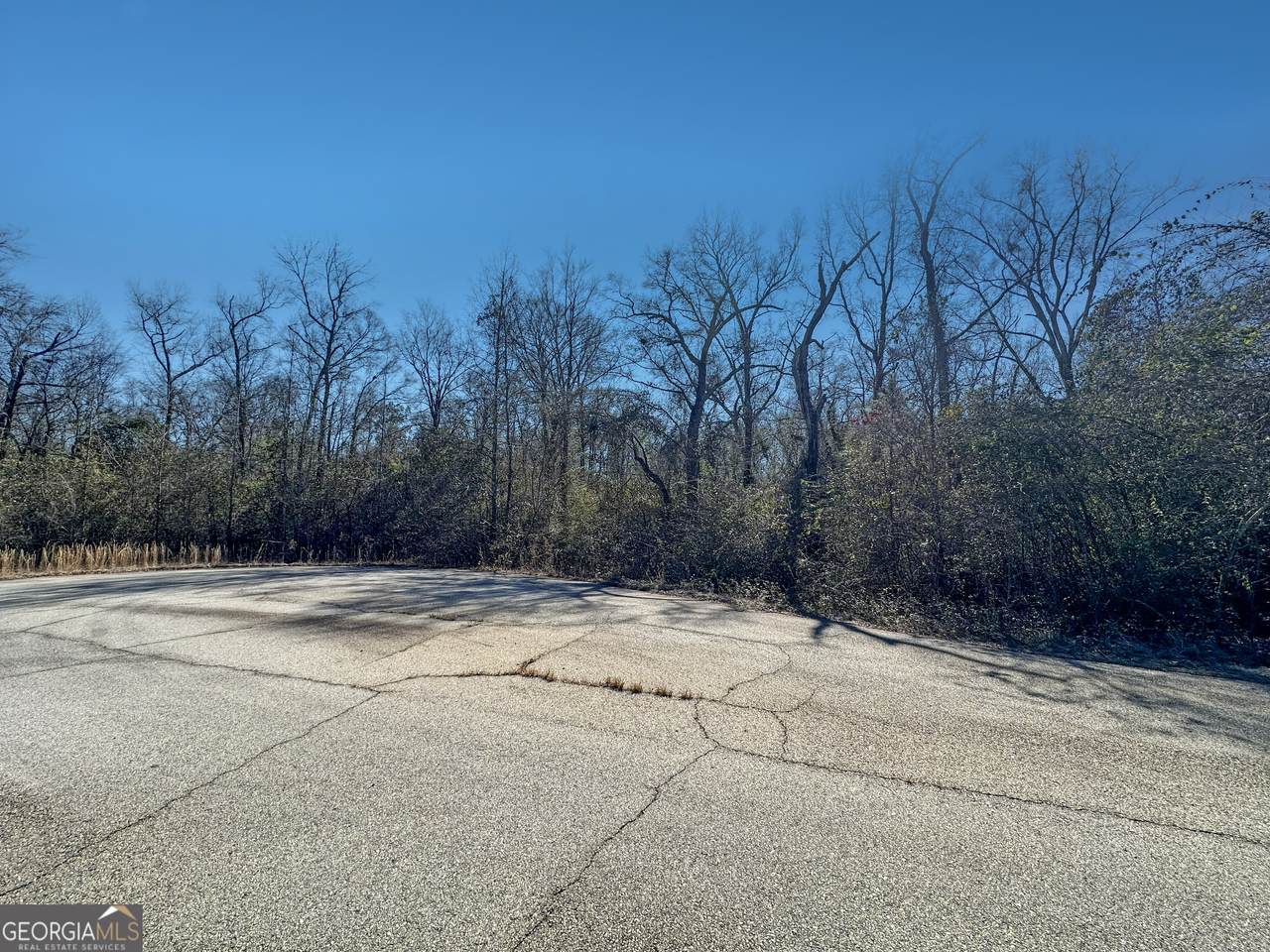 312 Hawk Court - Photo 1