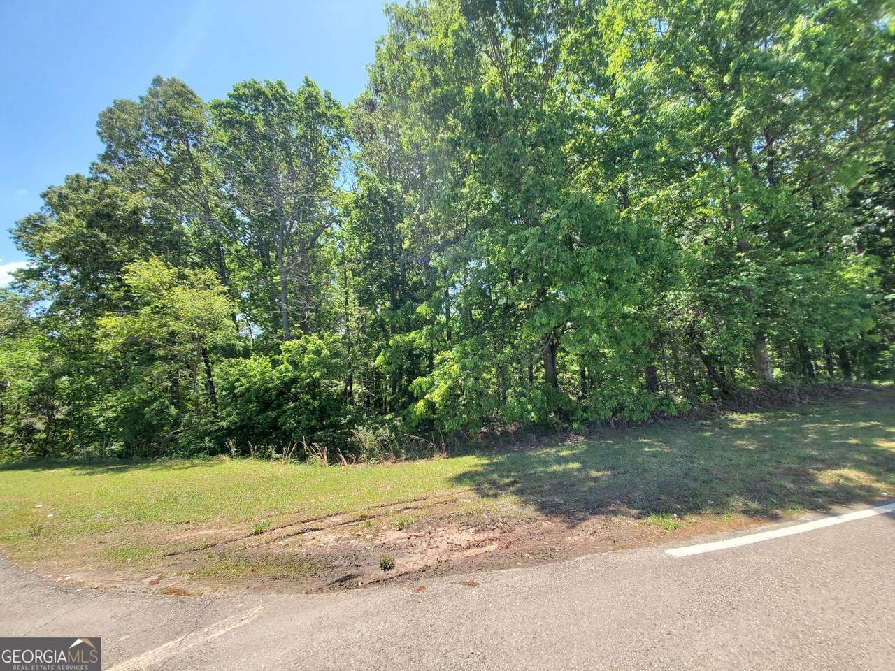 4537 Ball Ground Road - Photo 1
