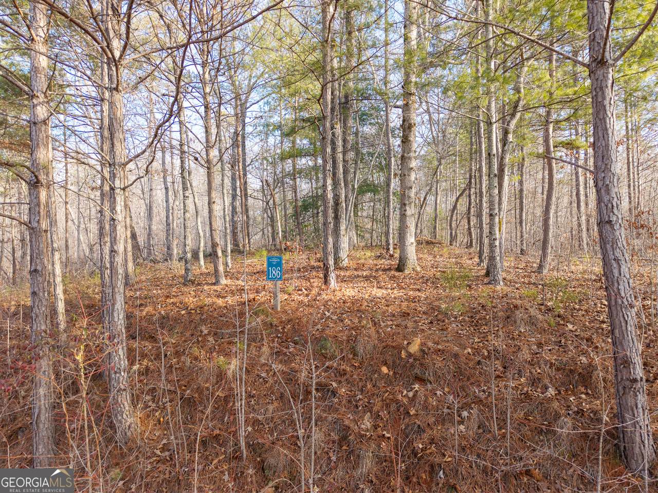 LOT 186 Harris Ridge Lane - Photo 1