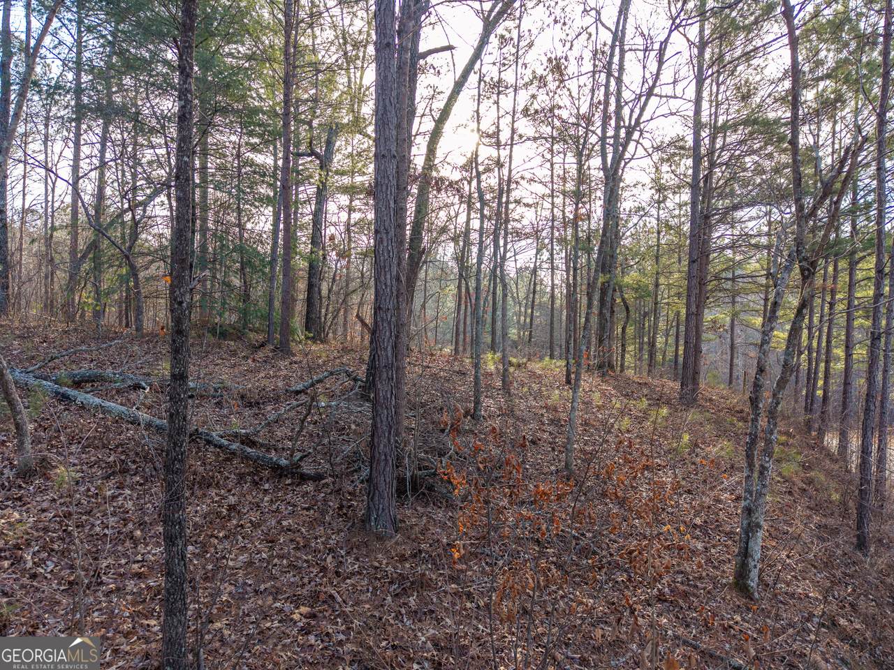 https://bt-photos.global.ssl.fastly.net/gamls/1280_boomver_1_10684383-2.jpg