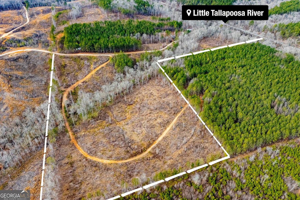1365 County Road 290 - Photo 1