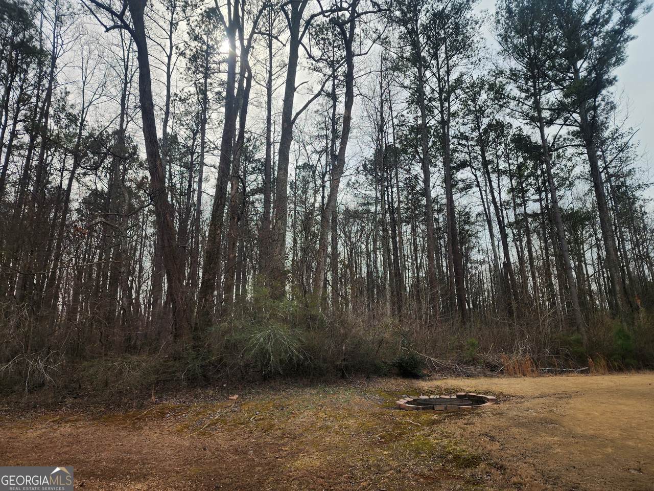 5624 Browns Mill Road - Photo 1
