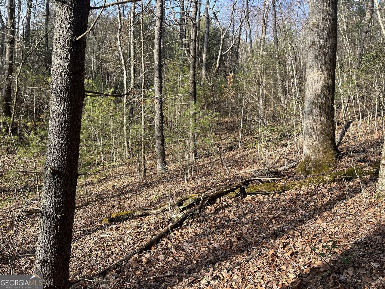 0 Winter Court - Photo 1