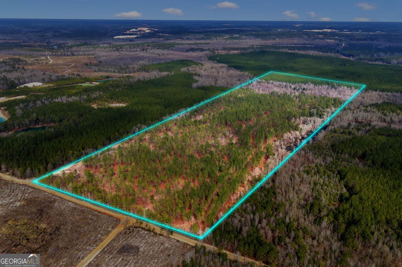 TRUSLOW EAST New Hopewell Church Road - Photo 1