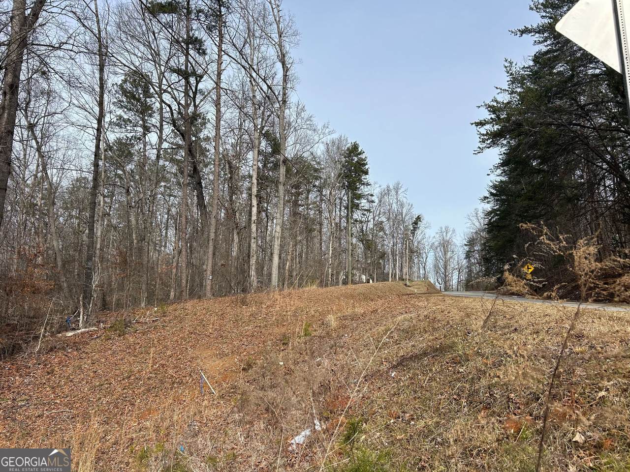 0 Holly Springs Road - Photo 1