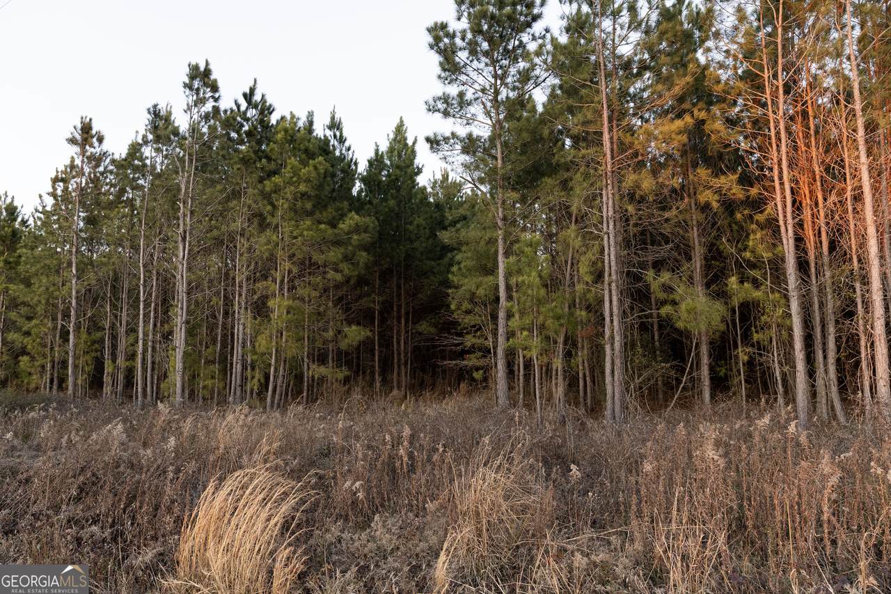 0 Highway 26 - Photo 1