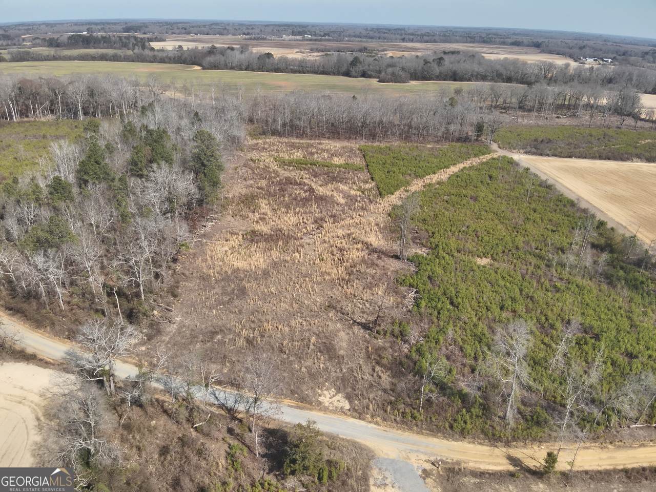 1221 Woodland Road - Photo 1