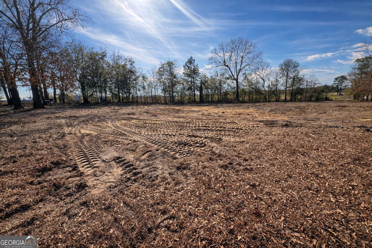 4539 Lewis Church Road - Photo 1