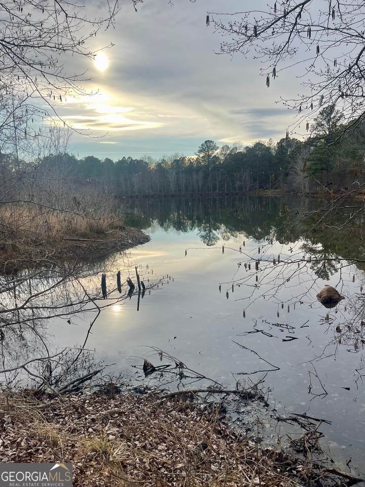 0 Padgett Road - Photo 1