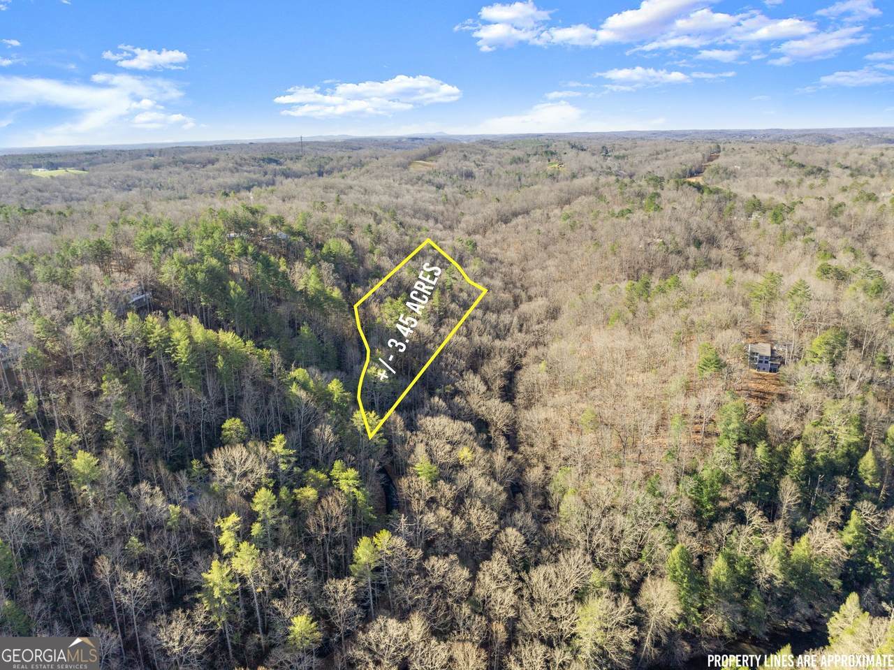 0 River View Lot 12 Trail - Photo 1