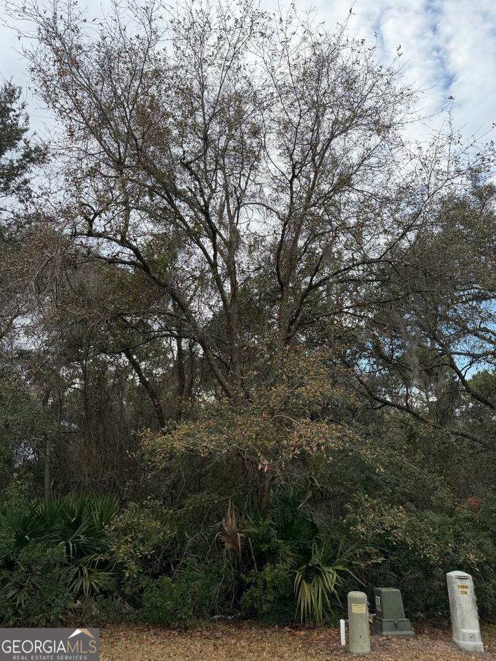 V/L 823 Stern Street - Photo 1