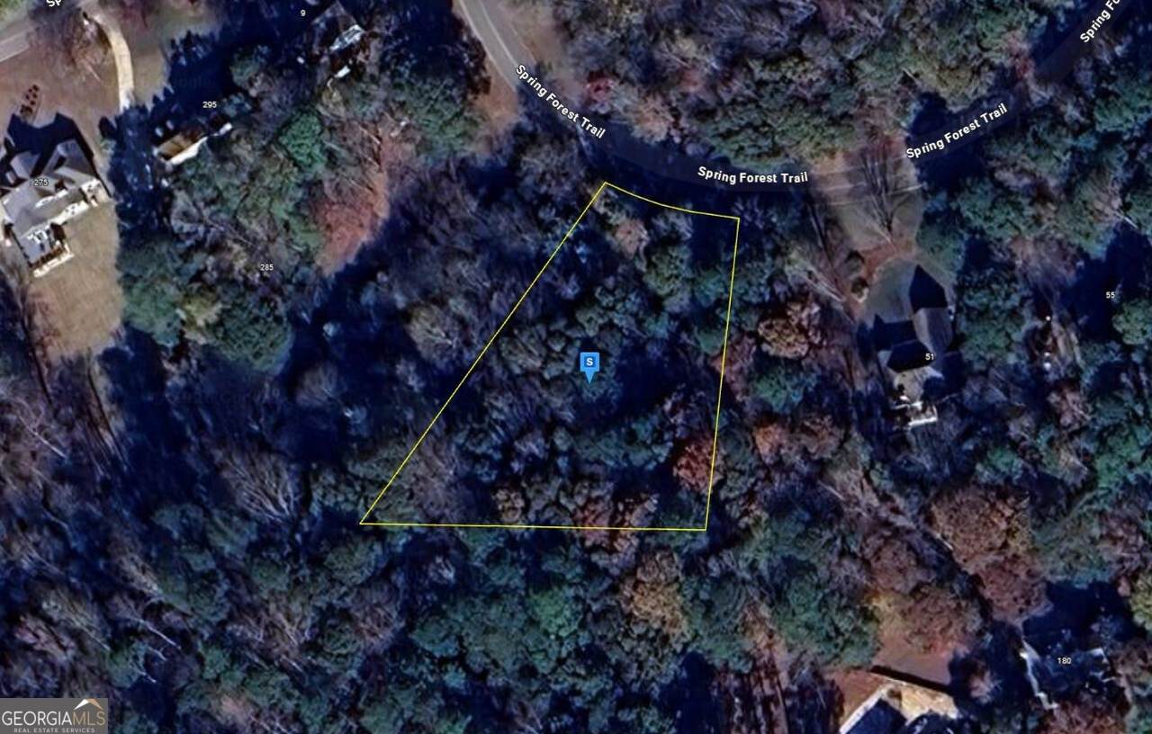 49 Spring Forest Trail - Photo 1