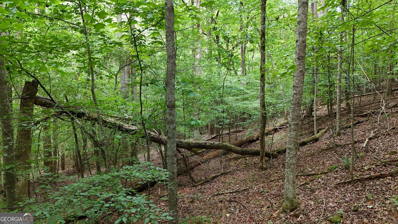 LOT 16 Morris Trail - Photo 1