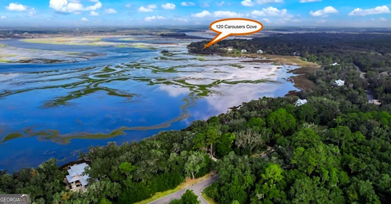 120 Carousers Cove - Photo 1